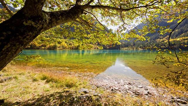 九寨沟泥石流2021年7月有泥石流吗,九寨沟旅游游客被吓