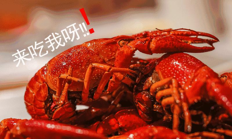 大学小龙虾养殖专业,大学里有小龙虾专业吗