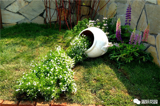 适合养花新手养的花,新手养花小技巧学会才能养好花