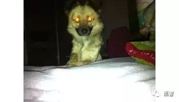 巴黎世家袜子鞋2.0和3.0的区别,巴黎世家男士袜子鞋