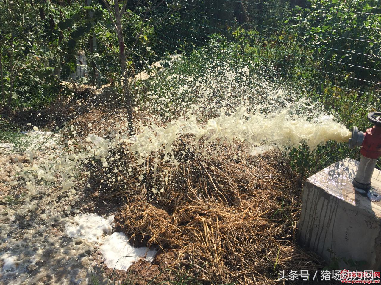 养猪场环保不合格,猪场环保不合格怎么投诉