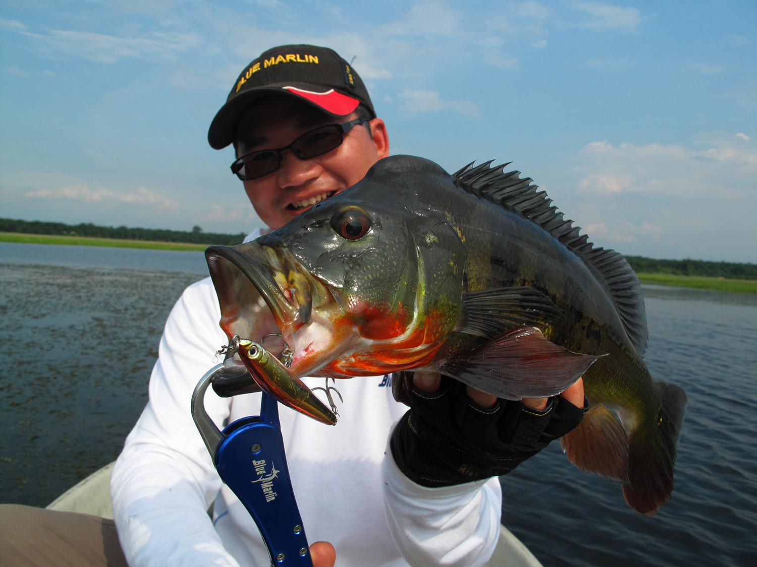 不一样的钓鱼,不一样的食肉鱼