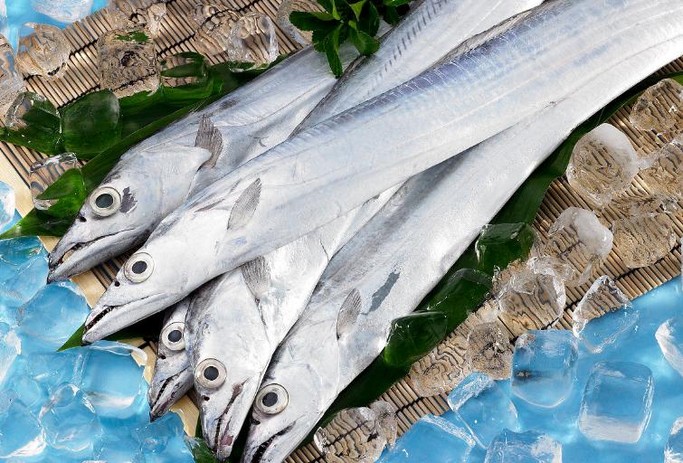 海鱼能人工饲养吗,海鱼可以自己养吗