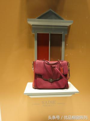 带你看遍所有车型,带你看遍大牌包包