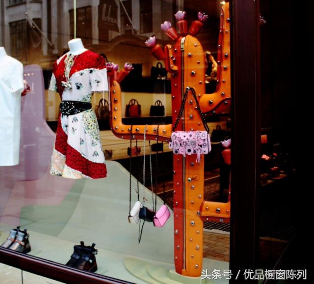 带你看遍所有车型,带你看遍大牌包包