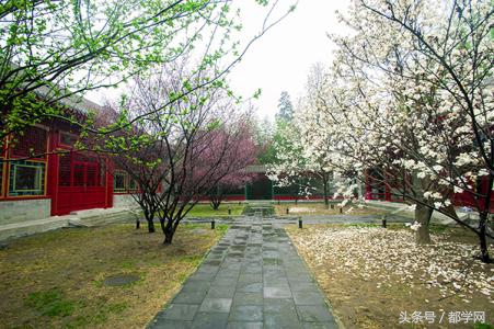 北大光华mba商学院,中国mba商学院排名一览表