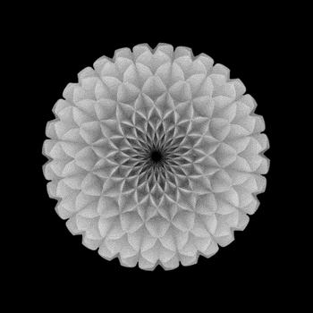 鏃犺亰鎷晳璁″垝,鏃犺亰鎷晳璁″垝鎴愬憳