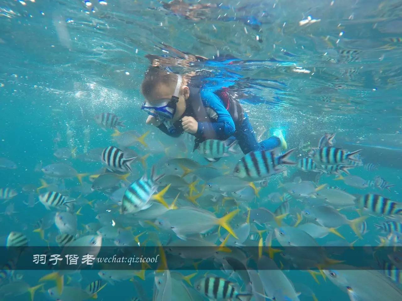 帕劳的旅游时长是多少,帕劳旅游找哪个旅行社