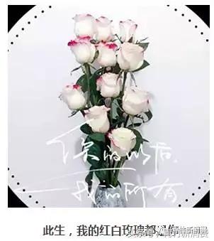 6亿资本作养料，鲜花市场究竟能开成什么样？