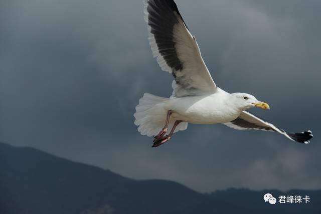 该怎么选择徕卡相机拍照,拍摄相机怎么选