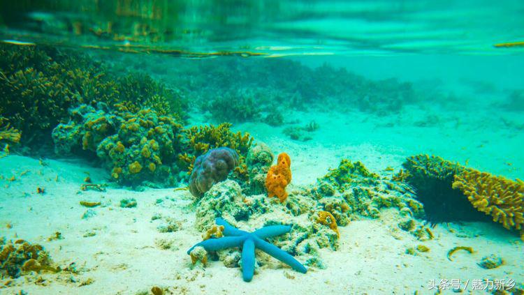 仙本那跳岛简介,仙本那跳岛图