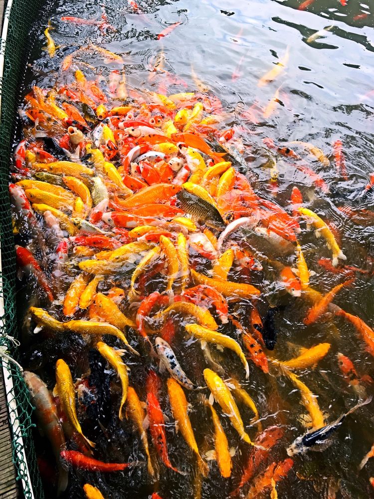 三亚之旅摄影,三亚之旅游艇