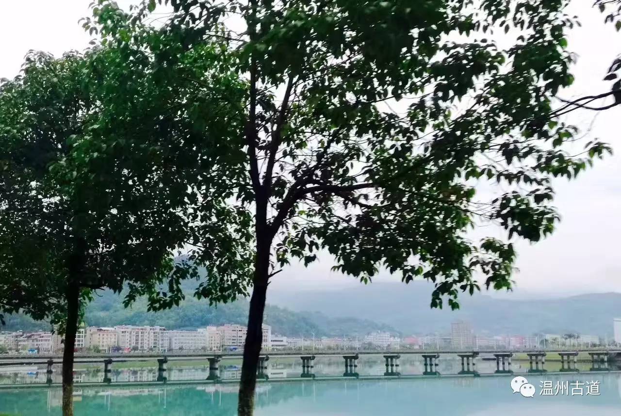 文成县珊溪水库地图,正宗文成珊溪水库有机鱼