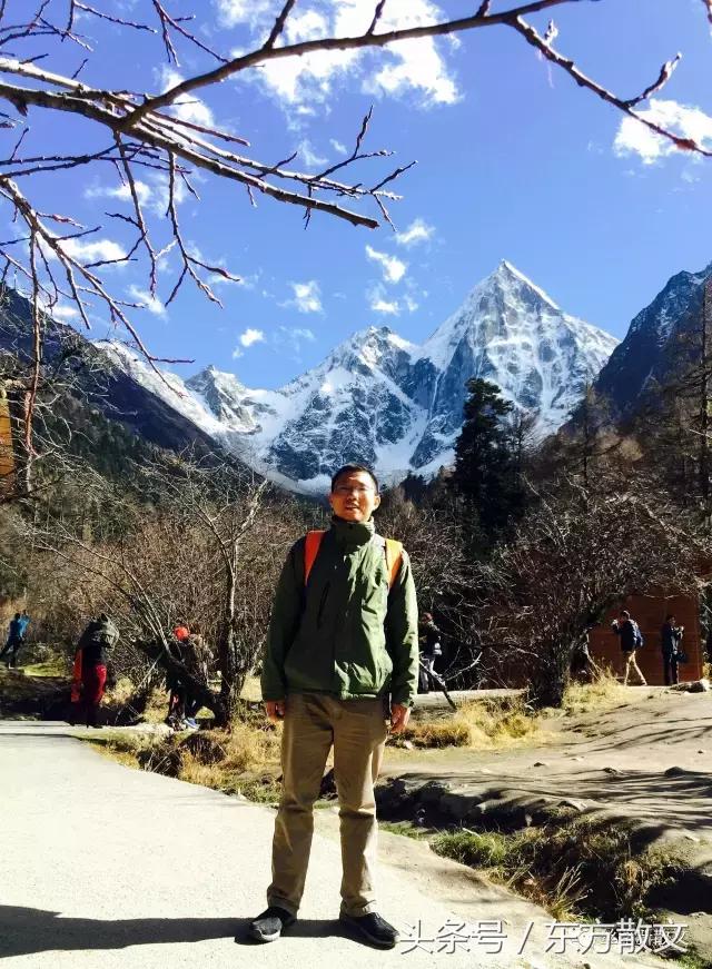 药王谷野山花径,药王谷的大花树是什么树