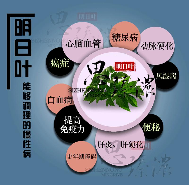 明日叶简介,明日叶功效