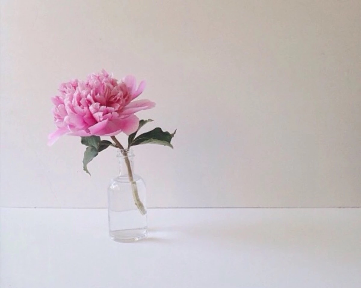 2022年湖北省教师招聘公告汇总,湖北教师招聘公告已出的地方