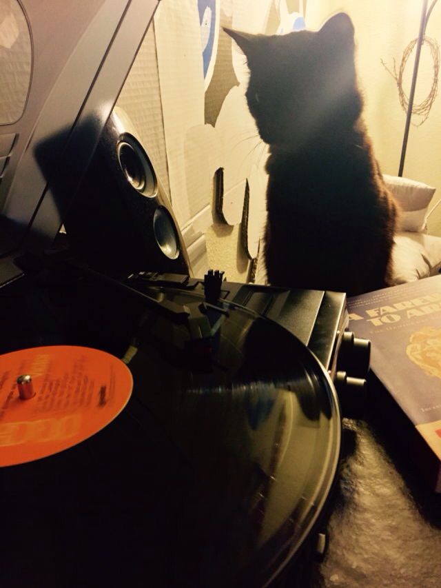 个人心路历程怎么写,个人创业之路视频