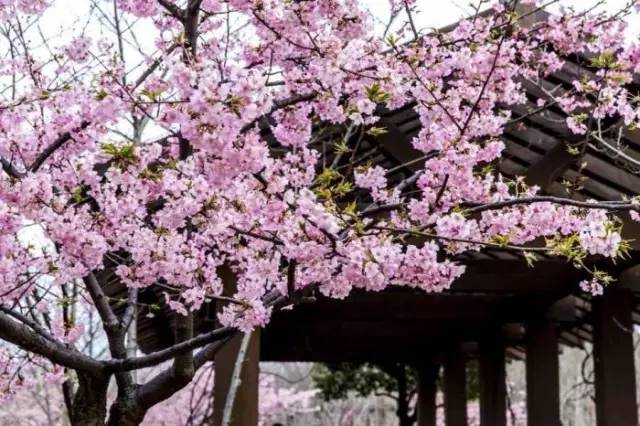 上海关键词,上海的关键词有哪些