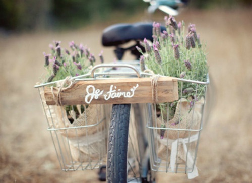 一些唯美的图片,摘抄图片简单又漂亮