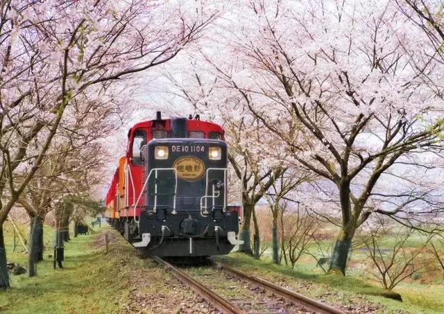 京都自由行景点大全,京都北野天满宫攻略