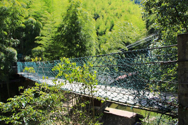 一场说走就走暑假旅行,一场说走就走的旅行来了