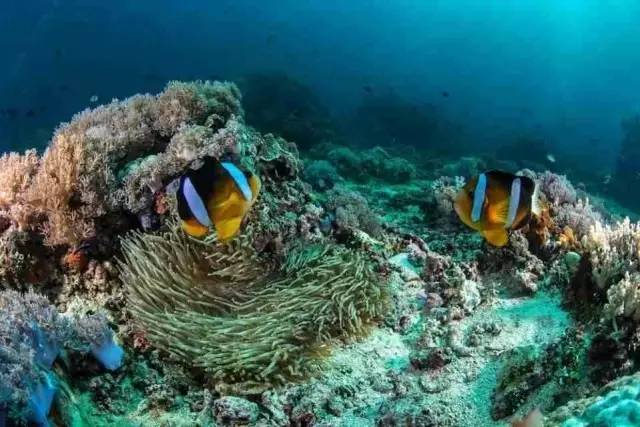 你会选择在南宁和300万人“假装生活”还是和我一起出逃到海岛呢！