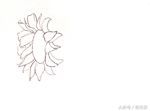 初学者画向日葵的详细教程,向日葵绘画教程简单易学