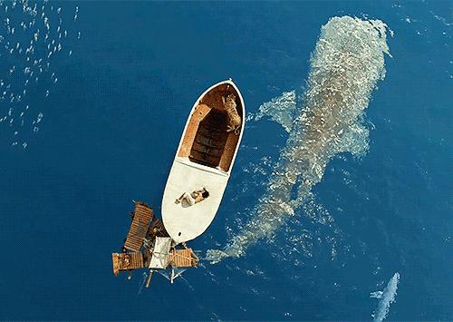 旅游途中的浪漫举动,旅行的行为习惯