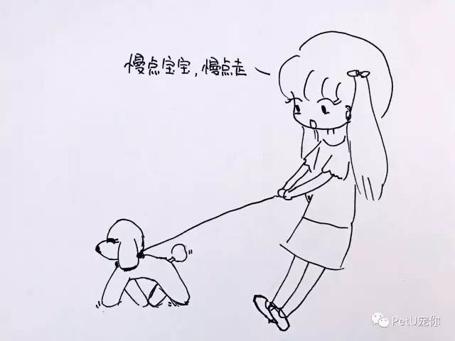 大学里养狗是种什么体验,女朋友养狗家里脏乱差