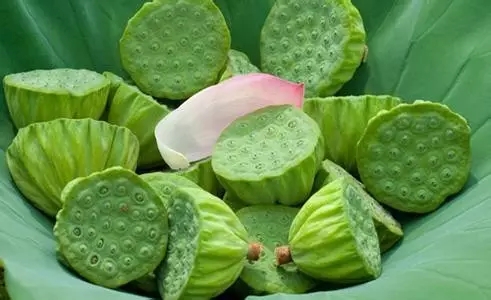 摆地摊卖莲蓬怎样卖得快,卖莲蓬赚钱么