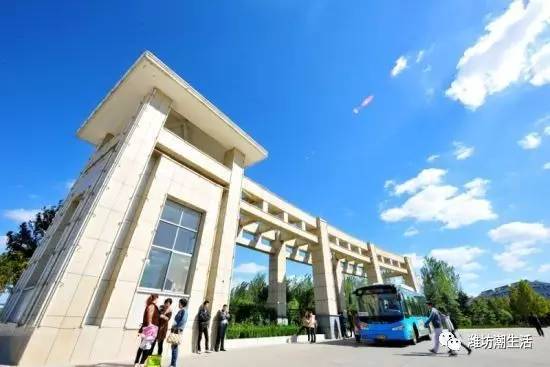 滨医潍医哪个强,潍医附院山东省内排行