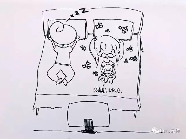 大学里养狗是种什么体验,女朋友养狗家里脏乱差