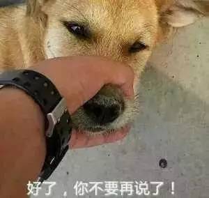 去鬼屋没有被吓到反而把鬼吓到了,在鬼屋中如何吓到鬼