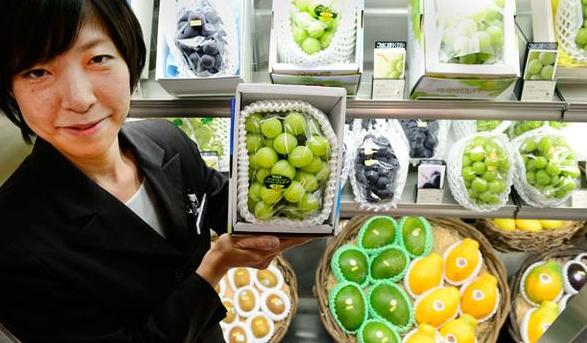 水果千元一个,日本豪华水果大师简直是把钱种在水果上