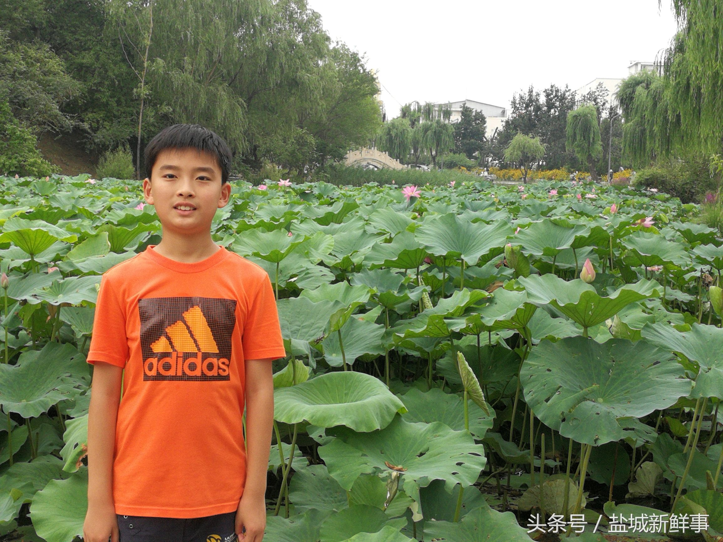 这个男孩足球踢得好英语版,这个小男孩踢球很好用英文怎么说