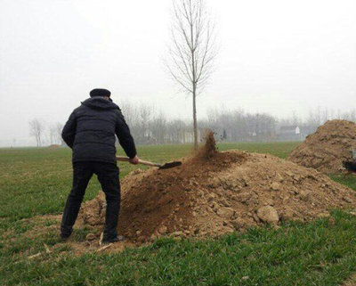 农村坟裂缝是怎么回事,坟墓塌陷裂缝怎么办