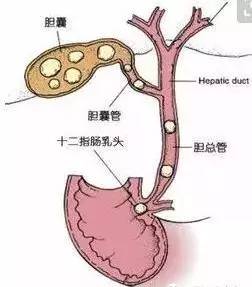 老人80几岁肚子发烧怎么回事,80多岁老人卧床发烧39度多吃什么