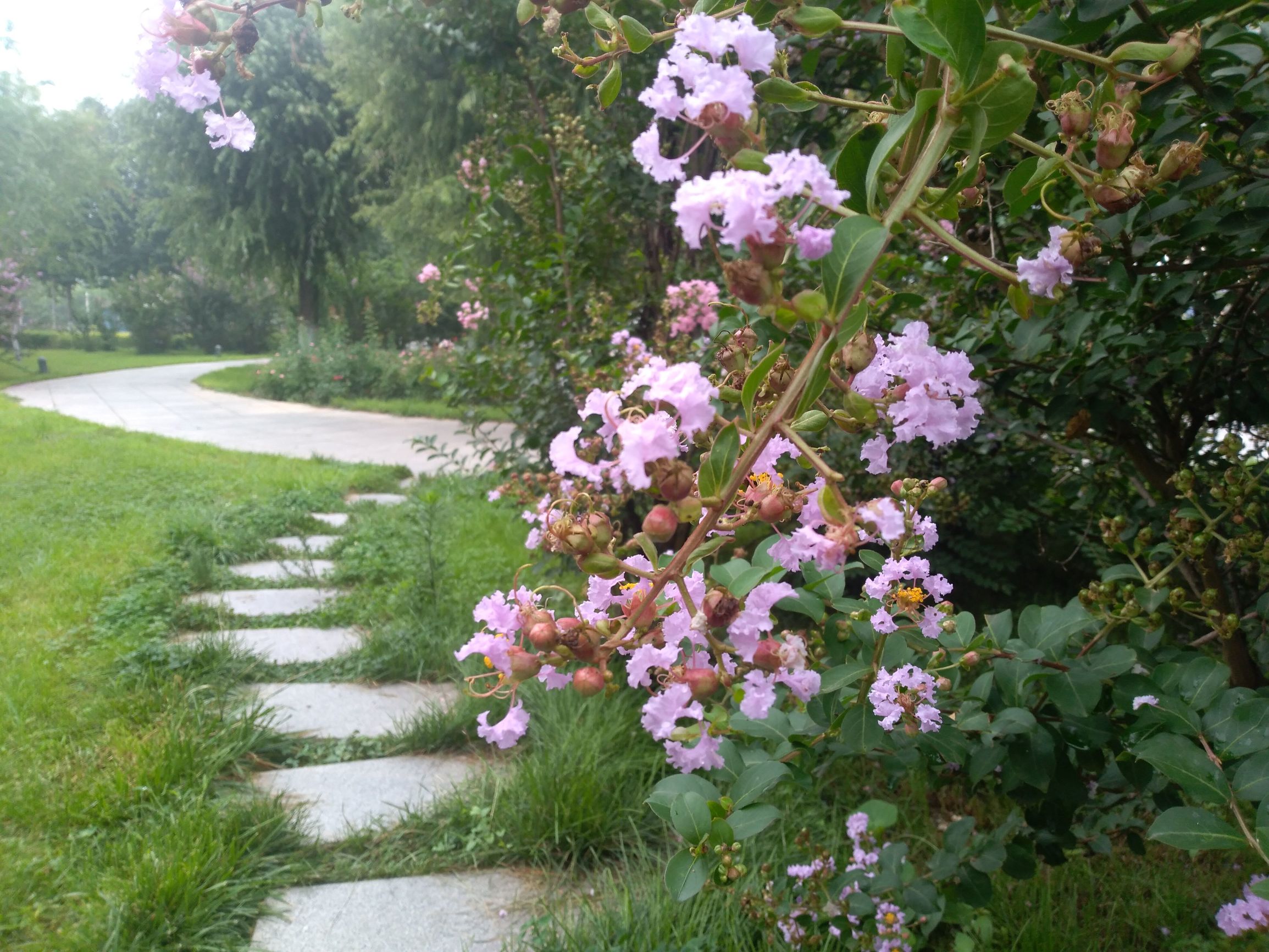 美到没朋友是什么体验,华为畅享7体验