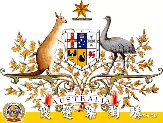 代购黄金组合宝贝有多少你没知道的！第四期