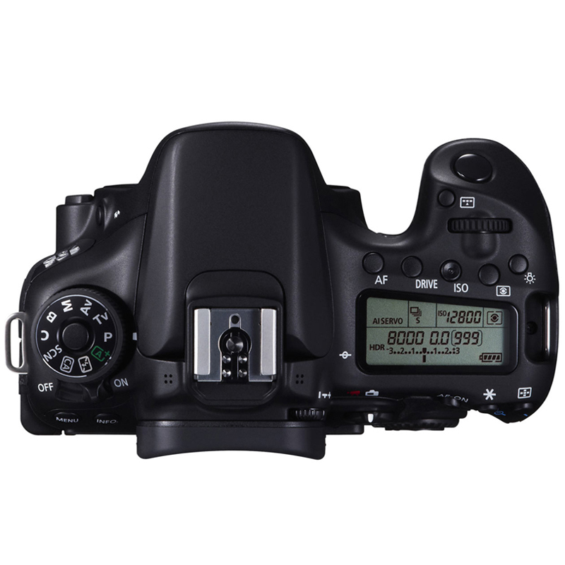 适合新手入门性价比高的单反相机,新手买单反相机推荐入门选哪款