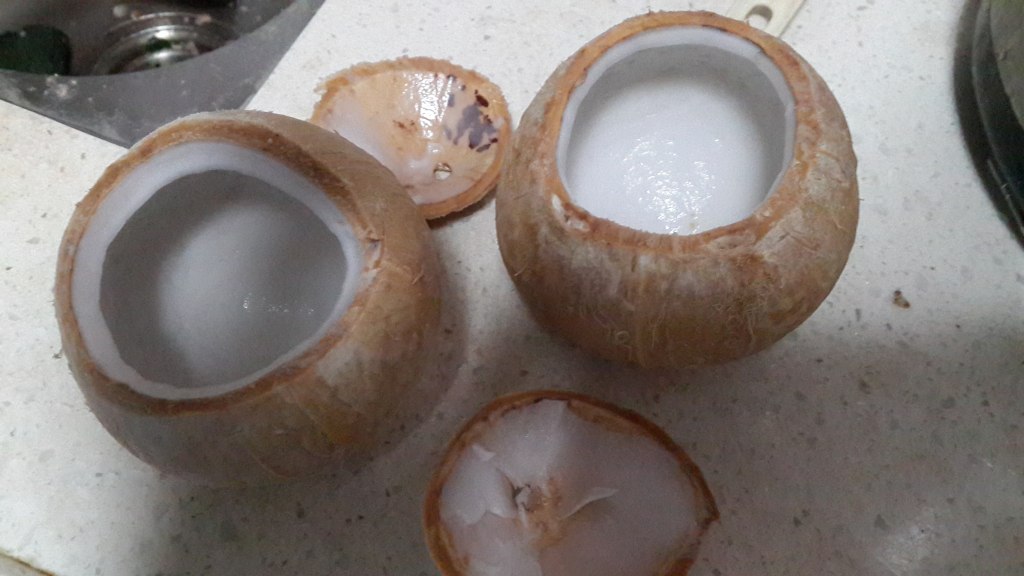 原汁椰子炖蛋的做法,原盅椰子鸡煲汤做法