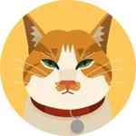 NO.24第二次自然怀孕，如果时光能倒流，我一定一定更积极保胎——终于等到你，还好我没放弃