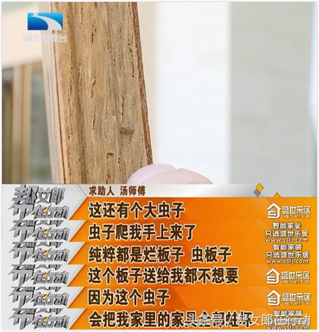 实木地板发现有蛀虫如何维权,装地板遇到不良商家该如何维权