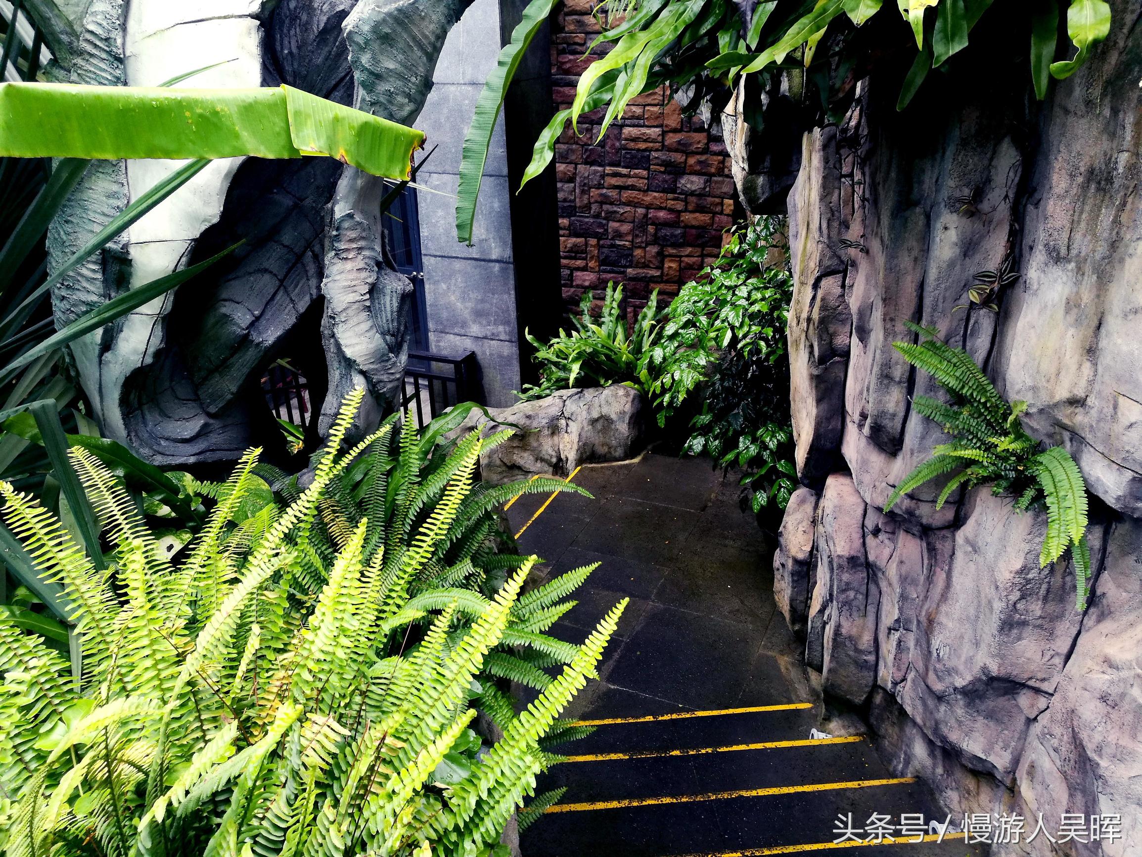 海南岛三亚和万宁哪个好玩 (海南三亚琼海自由行)