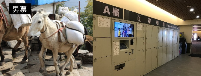 购物攻略,购物攻略百联