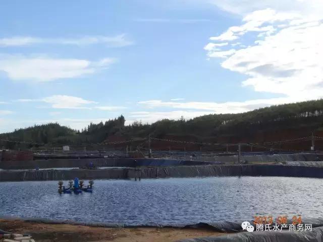 王维说虾-时间系列⑦｜8月改底看这里，掌握五类改底方法，你就是专家！