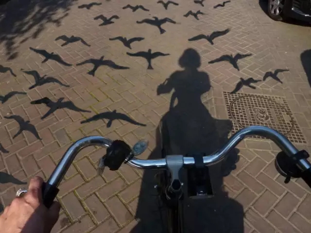 找男友的最佳标准,找男朋友的100个要求