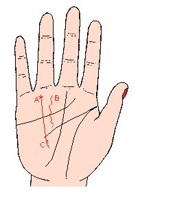 来,贫道帮你解析太阳线在手相中的重要作用,很多人不知道太阳线对我们运势的影响力