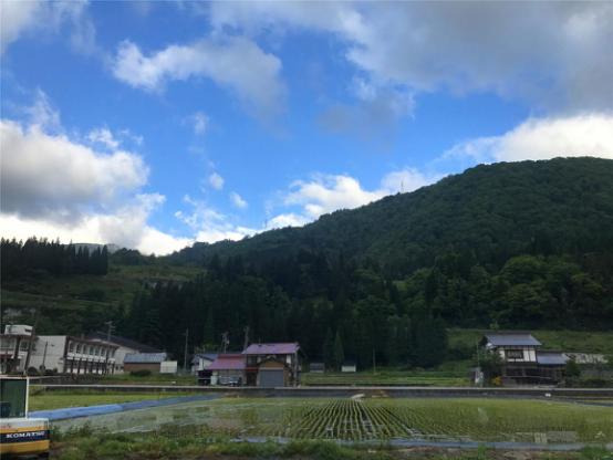 美食，美酒与美景-日本中北部升龙道深度游攻略（二）