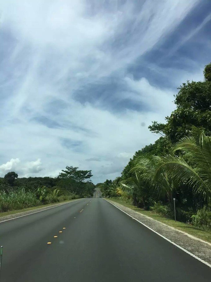 看鲨鱼，玩泥巴，看男人穿婚纱，带你看不一样的帕劳